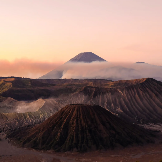 Bougie - Teck + épices